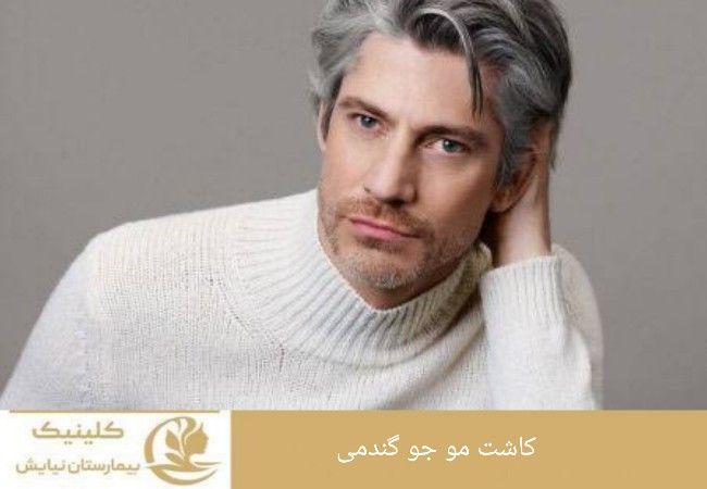 کاشت مو جو گندمی